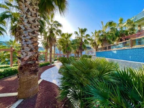 een resort met een palmboom en een zwembad bij Green Forest Holiday Village in Oludeniz
