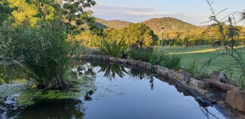 a pond in a garden with grass and a field at Kiaat Bungalows in Hazyview