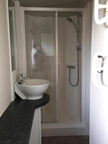 La salle de bains est pourvue d'une douche, d'un lavabo et d'un homme. dans l'établissement Assist' Mobil Home Grand mobil home 3 chambres proche châteaux de la Loire AMHCH9, à Onzain