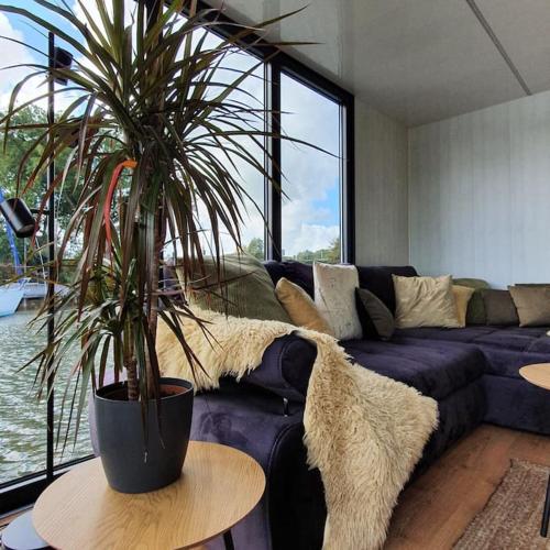 a living room with a blue couch and a potted plant at Modern, brand new houseboat near Amsterdam in Monnickendam