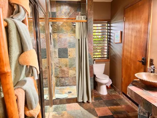 a bathroom with a toilet and a shower and a sink at Maui What a Wonderful World Bed & Breakfast in Wailea
