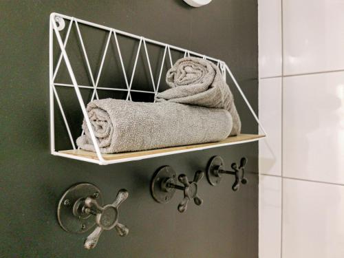 - un porte-serviettes dans la salle de bains dans l'établissement L'AQUAE - Parking - Wifi - Netflix, à Aix-les-Bains