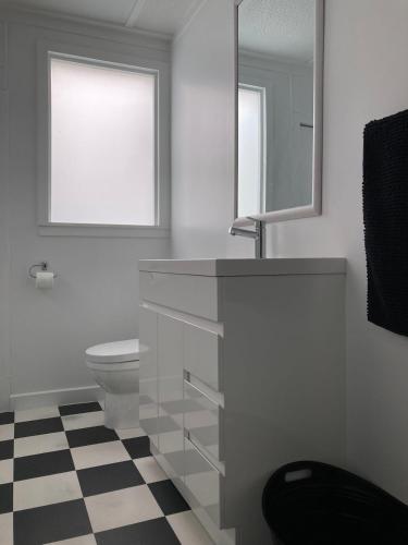 Un baño con lavabo, inodoro y espejo. en Beach Front Studio Napier, en Napier