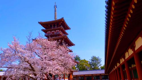 Fotografie z fotogalerie ubytování Temple Town Hotel WAQOO Horyuji v destinaci Ikaruga