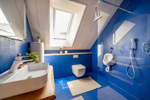 uma casa de banho azul com um lavatório e um WC em Hiša Zdravega Oddiha em Begunje pri Cerknici