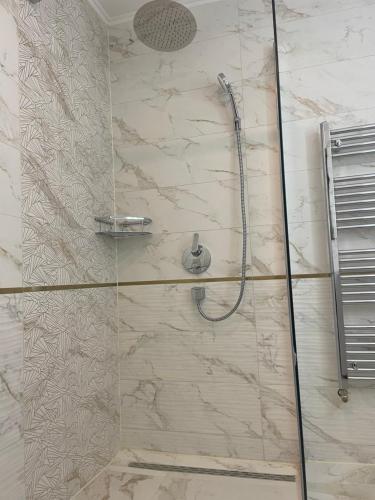 een douche met een glazen deur in de badkamer bij Gold delux in Zagreb