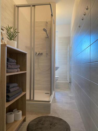 a bathroom with a shower with a glass door at Gästewohnung KL WZL 31 8 in Klein Wanzleben