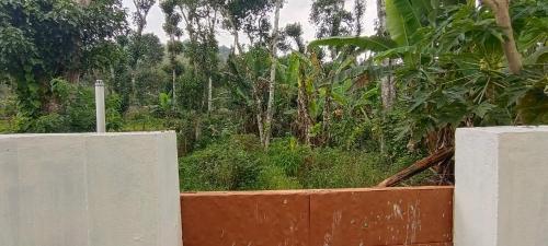 a fence in front of a garden with trees at SM GARDENS Luxury Homestay in Oothu