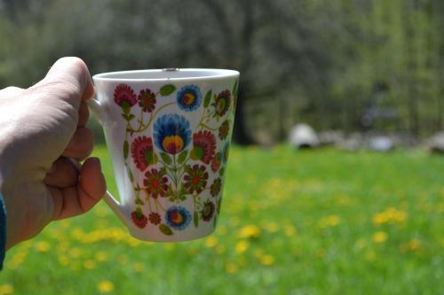 a person holding a coffee cup in a field at Na końcu świata in Dubiecko