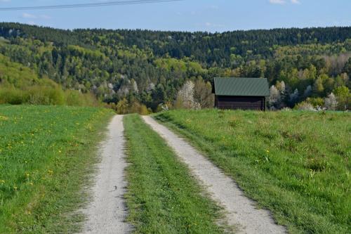 a dirt road in a field next to a barn at Na końcu świata in Dubiecko