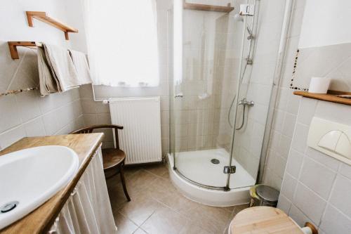 a bathroom with a shower and a toilet and a sink at Erdőszéli Vendégház in Pilisszentlászló