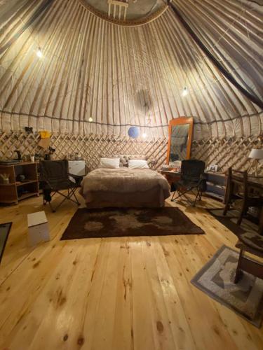 1 dormitorio con 1 cama en una yurta en Yurty Mc yurt en Dzhetyoguz