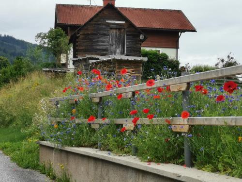 Ferienhaus Raumberg في Raumberg: حديقة بها زهور أمام المنزل