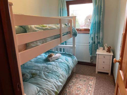 En eller flere køyesenger på et rom på Dyffryn Taf - spacious 3 bedroom bungalow close to amenities