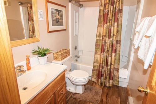スノーシューにあるML222 1BR Mountain Escape! Slope View Village WiFiのバスルーム(トイレ、洗面台、シャワー付)