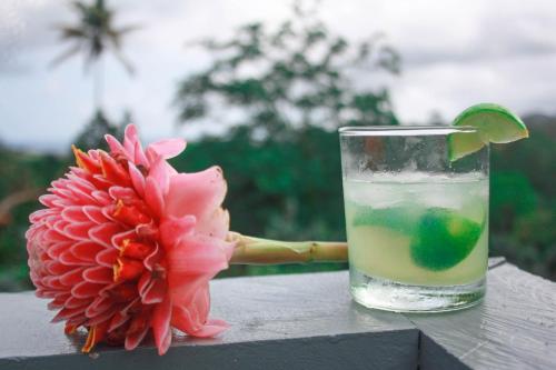 a drink sitting on a table next to a flower at Casa Cantagalo - Guest House & Bar Restaurant in Santana