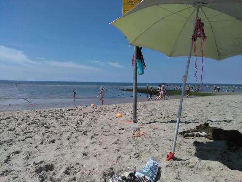 a green umbrella on a beach with people in the water at Anna, strandhuisje dichtbij zee & strand! in Callantsoog