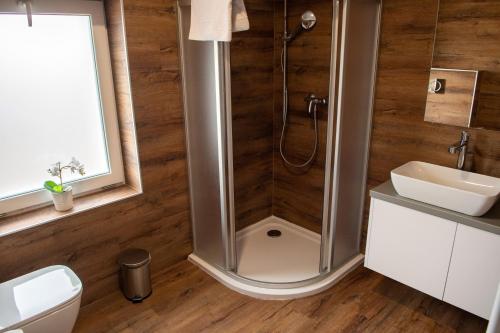 W łazience znajduje się prysznic i umywalka. w obiekcie Hotel Dolce Vita w mieście Balatonkenese