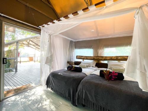 two beds in a room with a canopy at Kubu & Kwena Lodge in Katima Mulilo