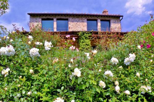 Villa Capanna – Photos 3