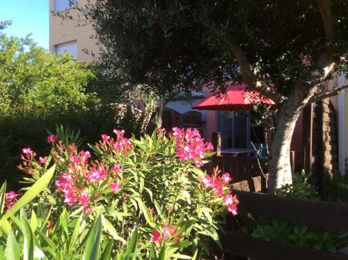 Cap Agde Studio-Cabine jardin clos, port et plage