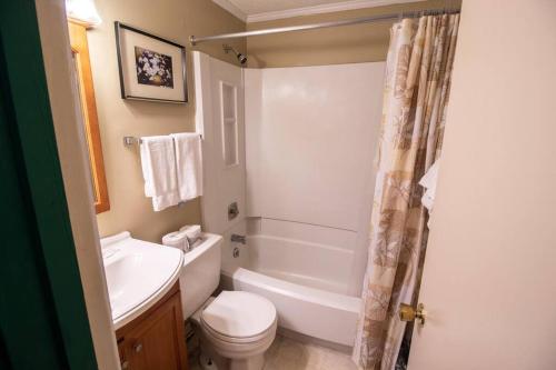 a bathroom with a toilet and a tub and a sink at ML240 Wonderful mountain view! 1BR 1BA Lift Access in Snowshoe