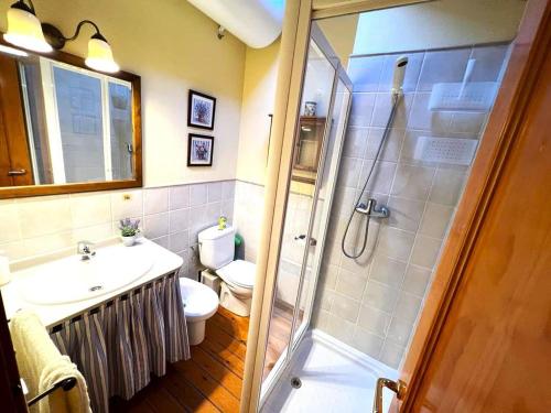a bathroom with a shower and a toilet and a sink at Bonita casa adosada con gran jardín in Osséja