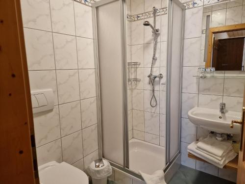 W łazience znajduje się prysznic, toaleta i umywalka. w obiekcie Bio-Bauernhof Vordergrubenbach - Familie Oberascher w mieście Hintersee