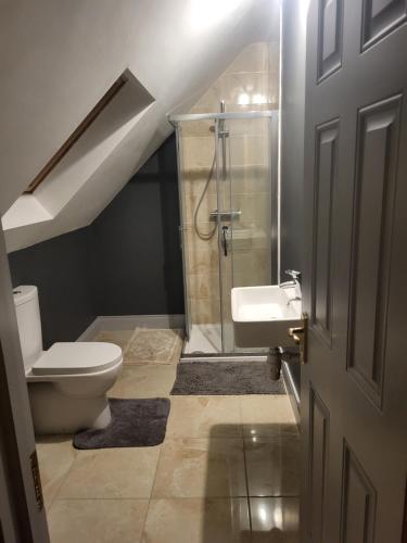 a bathroom with a shower and a toilet and a sink at Fearmore view in Kildare