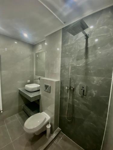 a bathroom with a toilet and a sink and a shower at Σουίτα Αλέξανδρος in Pefkochori