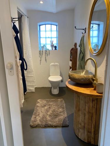 a bathroom with a sink and a toilet at Guldforhoved B&B 