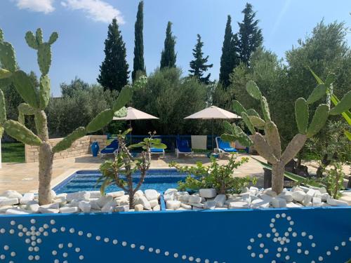 Πισίνα στο ή κοντά στο Villa des Oliviers Hammamet B&B