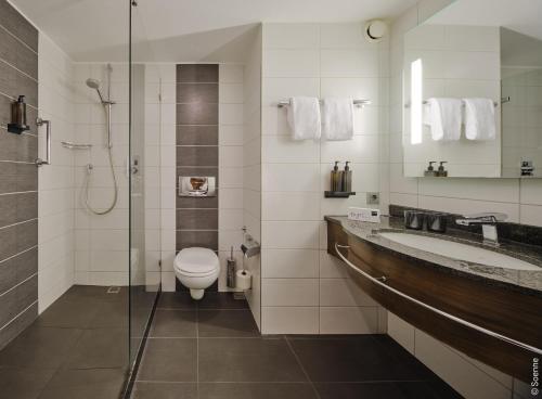 Dorint Hotel Bonn في بون: حمام مع مرحاض ومغسلة ودش