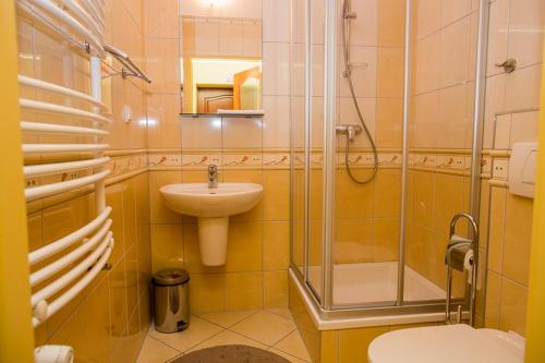 a bathroom with a sink and a shower and a toilet at Złoty Widok in Karpacz
