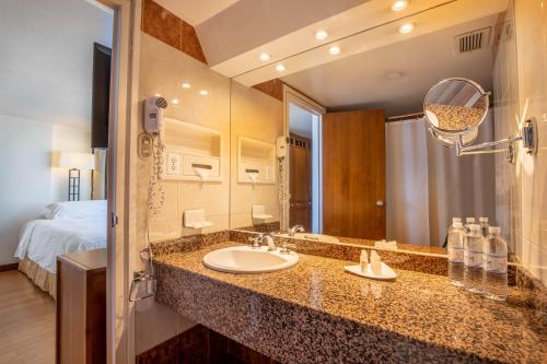 a bathroom with a sink and a large mirror at Hotel Rio Amazonas in Quito