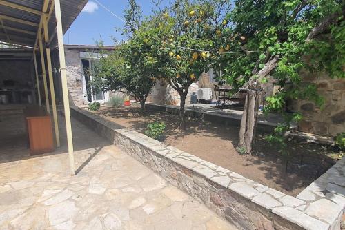 a garden with an orange tree and a stone wall at Confortable house in nature in Fofóla