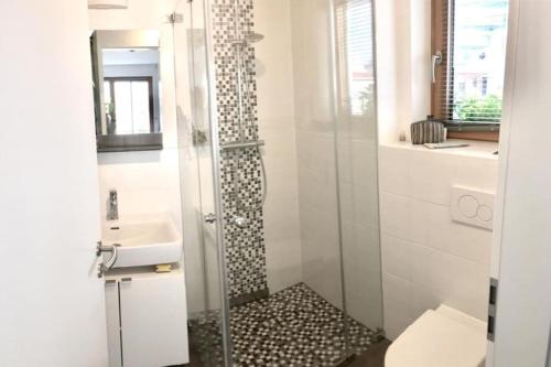 a bathroom with a shower and a sink at Topmodernes Studio - Sommer im bayerischen Inntal in Brannenburg