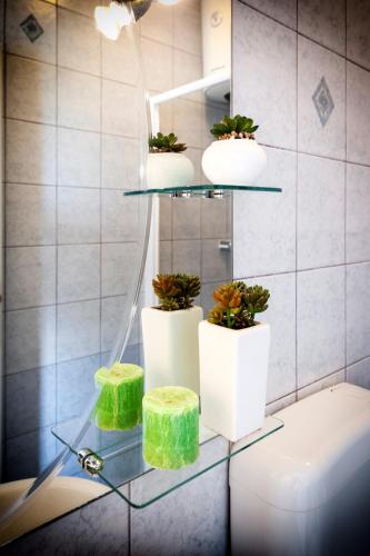 a glass shelf with potted plants on it in a bathroom at BANKO APARTMENTS & Rooms in Rovinj