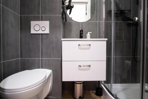 a bathroom with a toilet and a sink and a mirror at Dream Apartments - Gdańska 72 in Łódź