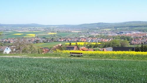 a bench sitting on top of a field of grass at Apartments im Taunus in Neu-Anspach