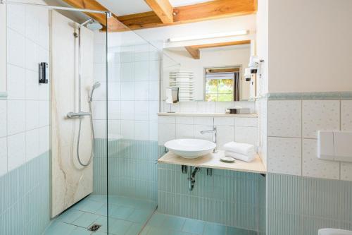 a bathroom with a sink and a glass shower at Romantischer Seegasthof & Hotel Altes Zollhaus in Feldberg