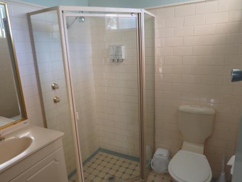 a bathroom with a shower with a toilet and a sink at Golfview Lodge in Bowral