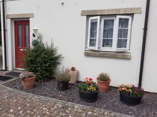 a group of potted plants in front of a house at Ground Floor Cornish Retreat Free Parking in Bodmin
