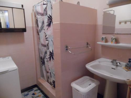 a bathroom with a sink and a shower curtain at Appartement Amélie-les-Bains-Palalda, 2 pièces, 2 personnes - FR-1-703-116 in Amélie-les-Bains-Palalda