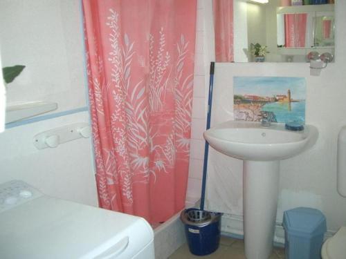 łazienka z umywalką i zasłoną prysznicową w obiekcie Studio cosy proche cure avec équipement complet et animaux acceptés - FR-1-703-120 w mieście Amélie-les-Bains-Palalda