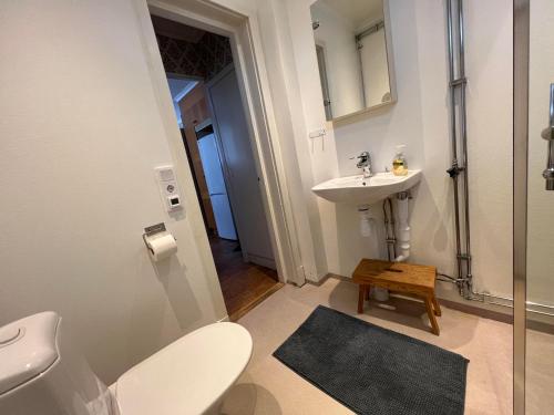 a bathroom with a toilet and a sink at High Noon Westernranch Holidayhouse in Ljusdal