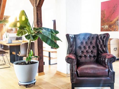 a plant in a pot next to a leather chair at Mosel-Loft in Bernkastel-Kues