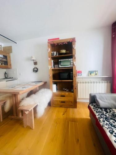 Ski apartment 3 valleys