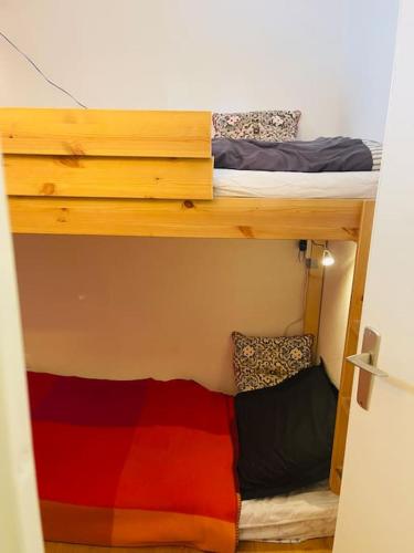 Ski apartment 3 valleys