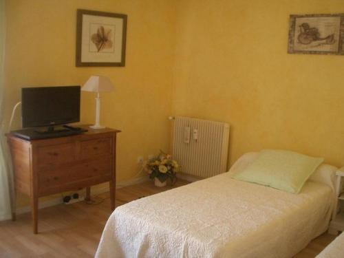 une chambre avec un lit et une télévision sur une commode dans l'établissement Studio confortable avec balcon - Amélie-les-Bains, près des thermes et parking - FR-1-703-35, à Amélie-les-Bains-Palalda